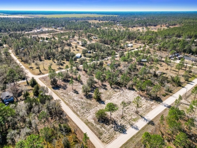 Country Living 2 Acres In Williston Highlands Levy County Fl - image 3