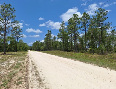 Country Living 2 Acres In Williston Highlands Levy County Fl - image 16