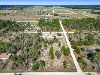 Country Living 2 Acres In Williston Highlands Levy County Fl - image 4