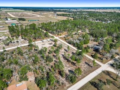 Country Living 2 Acres In Williston Highlands Levy County Fl - image 5