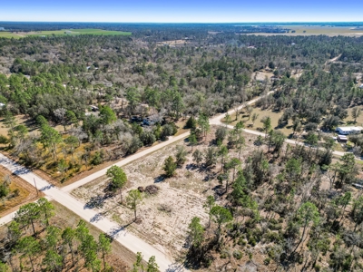 Country Living 2 Acres In Williston Highlands Levy County Fl - image 6