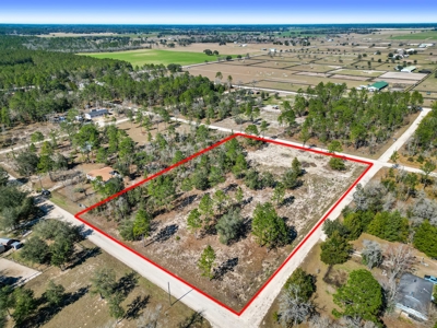 Country Living 2 Acres In Williston Highlands Levy County Fl - image 1