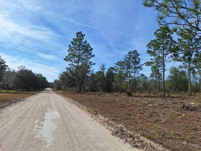 Country Living 2 Acres In Williston Highlands Levy County Fl - image 11