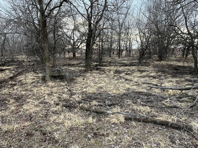 Land for Sale in Harper County Kansas 160.9 +/- Acres - image 34