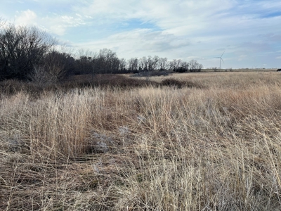 Land for Sale in Harper County Kansas 160.9 +/- Acres - image 26