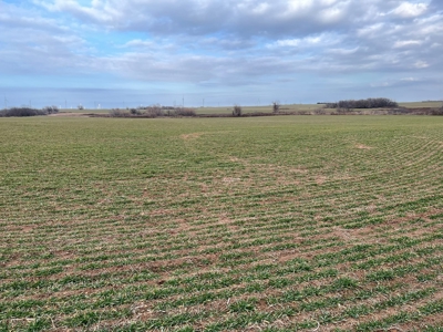 Land for Sale in Harper County Kansas 160.9 +/- Acres - image 42