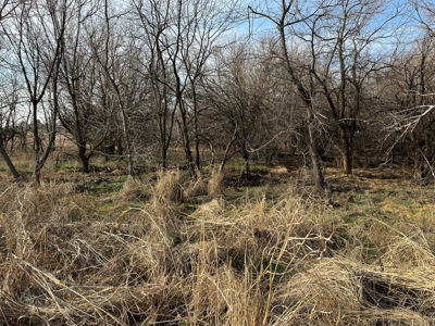 Land for Sale in Harper County Kansas 160.9 +/- Acres - image 18