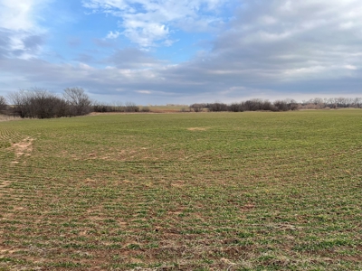 Land for Sale in Harper County Kansas 160.9 +/- Acres - image 39