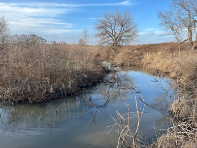 Land for Sale in Harper County Kansas 160.9 +/- Acres - image 7