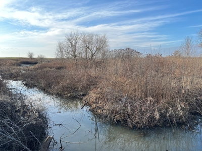 Land for Sale in Harper County Kansas 160.9 +/- Acres - image 9