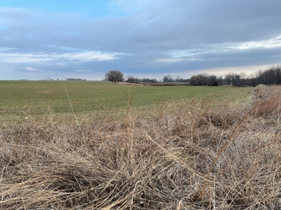Land for Sale in Harper County Kansas 160.9 +/- Acres - image 30