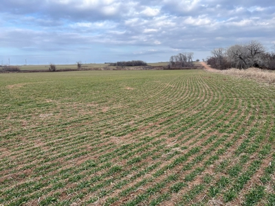 Land for Sale in Harper County Kansas 160.9 +/- Acres - image 41