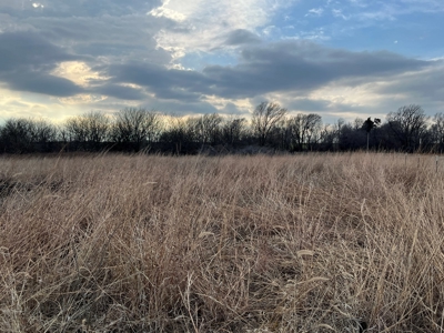 Land for Sale in Harper County Kansas 160.9 +/- Acres - image 32