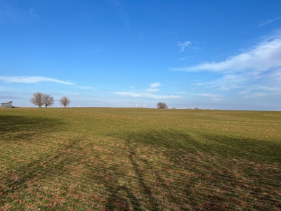 Land for Sale in Harper County Kansas 160.9 +/- Acres - image 22