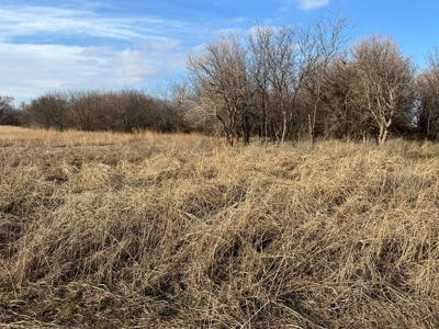 Land for Sale in Harper County Kansas 160.9 +/- Acres - image 16