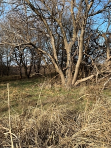 Land for Sale in Harper County Kansas 160.9 +/- Acres - image 17