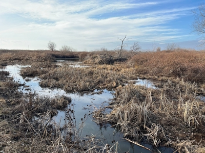 Land for Sale in Harper County Kansas 160.9 +/- Acres - image 11