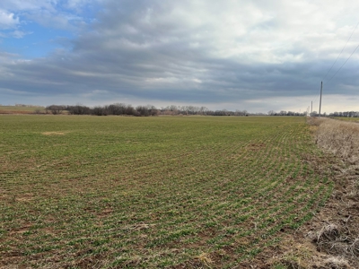 Land for Sale in Harper County Kansas 160.9 +/- Acres - image 38
