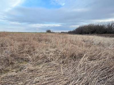 Land for Sale in Harper County Kansas 160.9 +/- Acres - image 33