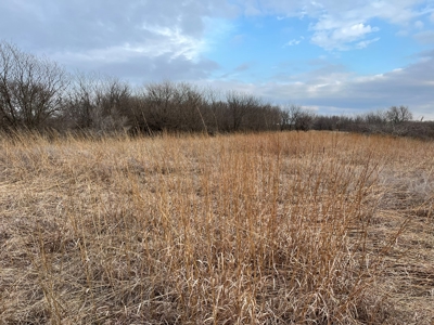 Land for Sale in Harper County Kansas 160.9 +/- Acres - image 37
