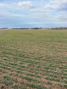 Land for Sale in Harper County Kansas 160.9 +/- Acres - image 40