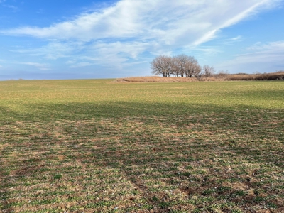Land for Sale in Harper County Kansas 160.9 +/- Acres - image 21