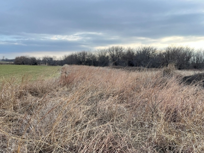 Land for Sale in Harper County Kansas 160.9 +/- Acres - image 31