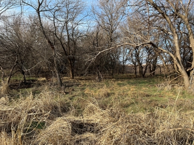 Land for Sale in Harper County Kansas 160.9 +/- Acres - image 19