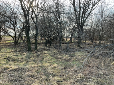 Land for Sale in Harper County Kansas 160.9 +/- Acres - image 23