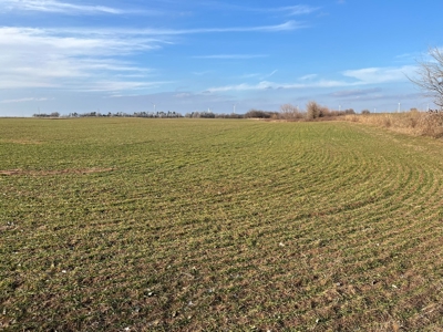 Land for Sale in Harper County Kansas 160.9 +/- Acres - image 14