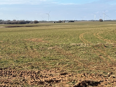 Land for Sale in Harper County Kansas 160.9 +/- Acres - image 5