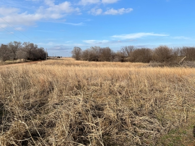 Land for Sale in Harper County Kansas 160.9 +/- Acres - image 15