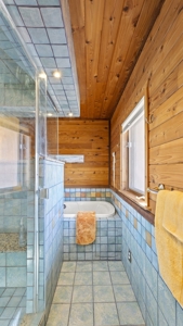 Ridgway Colorado Mountain Home For Sale - image 14