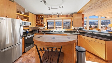 Ridgway Colorado Mountain Home For Sale - image 9
