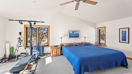 Ridgway Colorado Mountain Home For Sale - image 11