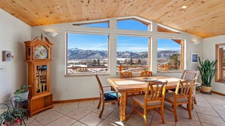 Ridgway Colorado Mountain Home For Sale - image 5