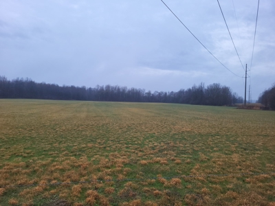 Homestead Property w/ Row Crop, Pasture, Woods ,& pond - image 7