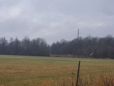 Homestead Property w/ Row Crop, Pasture, Woods ,& pond - image 3