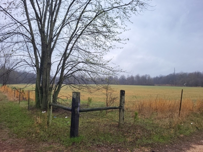 Homestead Property w/ Row Crop, Pasture, Woods ,& pond - image 5