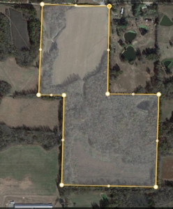 Homestead Property w/ Row Crop, Pasture, Woods ,& pond - image 1