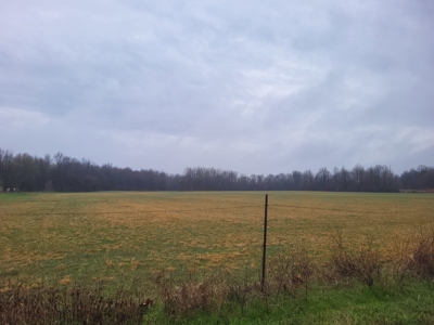 Homestead Property w/ Row Crop, Pasture, Woods ,& pond - image 9