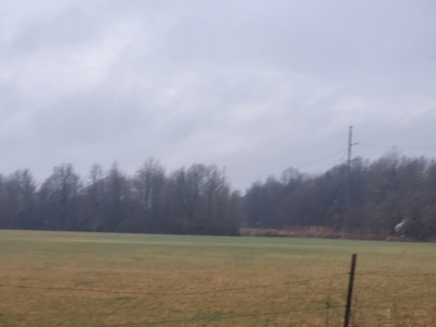 Homestead Property w/ Row Crop, Pasture, Woods ,& pond - image 11