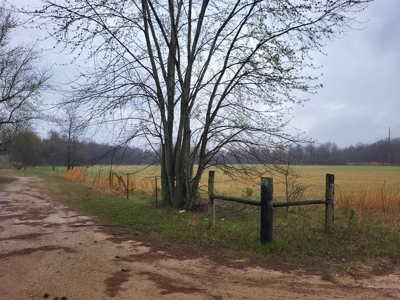 Homestead Property w/ Row Crop, Pasture, Woods ,& pond - image 4