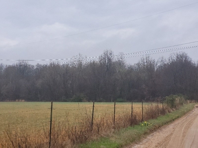 Homestead Property w/ Row Crop, Pasture, Woods ,& pond - image 2