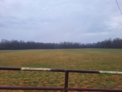 Homestead Property w/ Row Crop, Pasture, Woods ,& pond - image 10