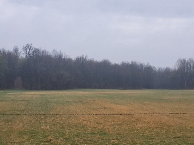 Homestead Property w/ Row Crop, Pasture, Woods ,& pond - image 12