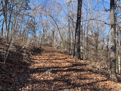 Balanced Harmony With Nature At 313 Mc 4042 - image 14
