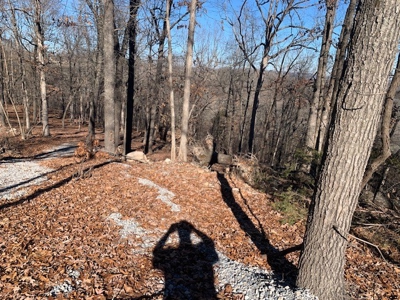 Balanced Harmony With Nature At 313 Mc 4042 - image 15