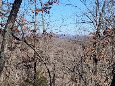 Balanced Harmony With Nature At 313 Mc 4042 - image 9