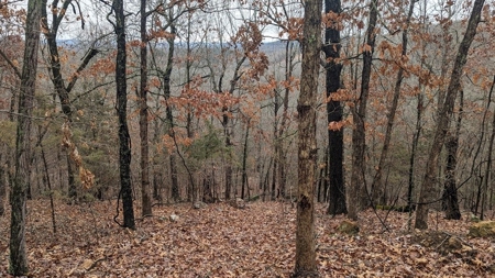 Balanced Harmony With Nature At 313 Mc 4042 - image 25